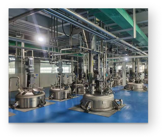 Biofertilizer Manufacturing Technology Support